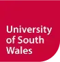 University of south wales